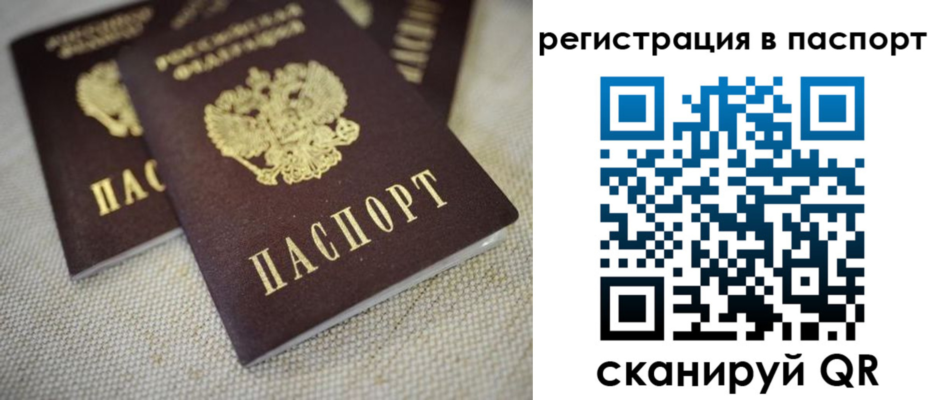 прописка гарантия в Пересвете